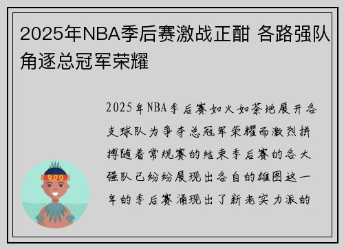 2025年NBA季后赛激战正酣 各路强队角逐总冠军荣耀