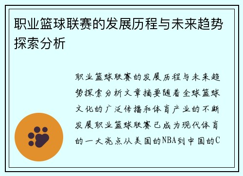 职业篮球联赛的发展历程与未来趋势探索分析
