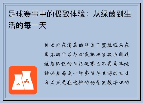 足球赛事中的极致体验：从绿茵到生活的每一天